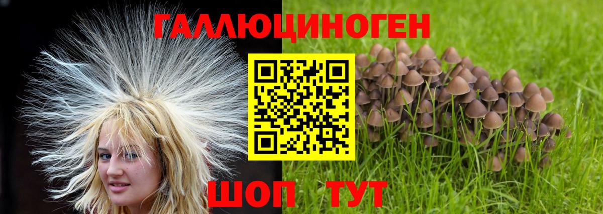 Псилоцибиновые грибы мухоморы  Вход с VPN  Псилоцибиновые грибы Cubensis  Биробиджан 